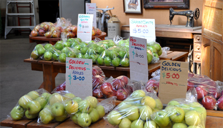 Newstead Orchard Shop - fresh fruit in season - apples, pears, plums, peaches, nectarines